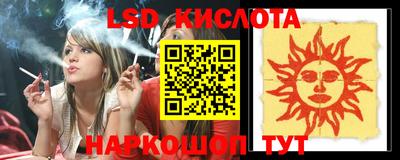 дживик Можга