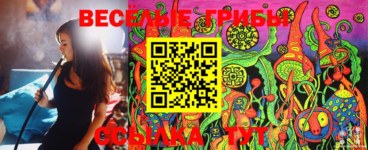 Галлюциногенные грибы Psilocybine cubensis Чусовой